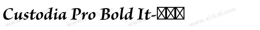 Custodia Pro Bold It字体转换 Custodia Pro Bold It字体转换